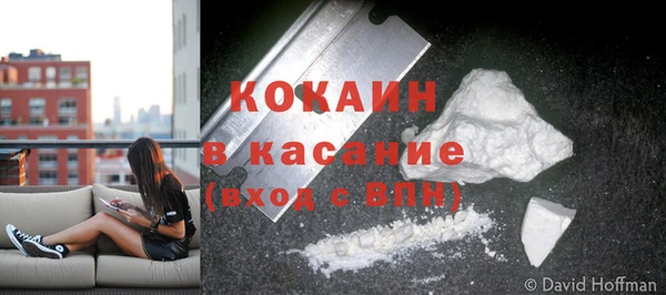 крисы Вяземский