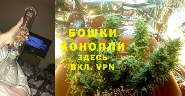крисы Вяземский