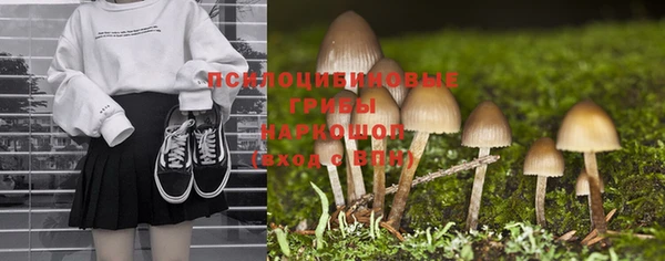 крисы Вяземский